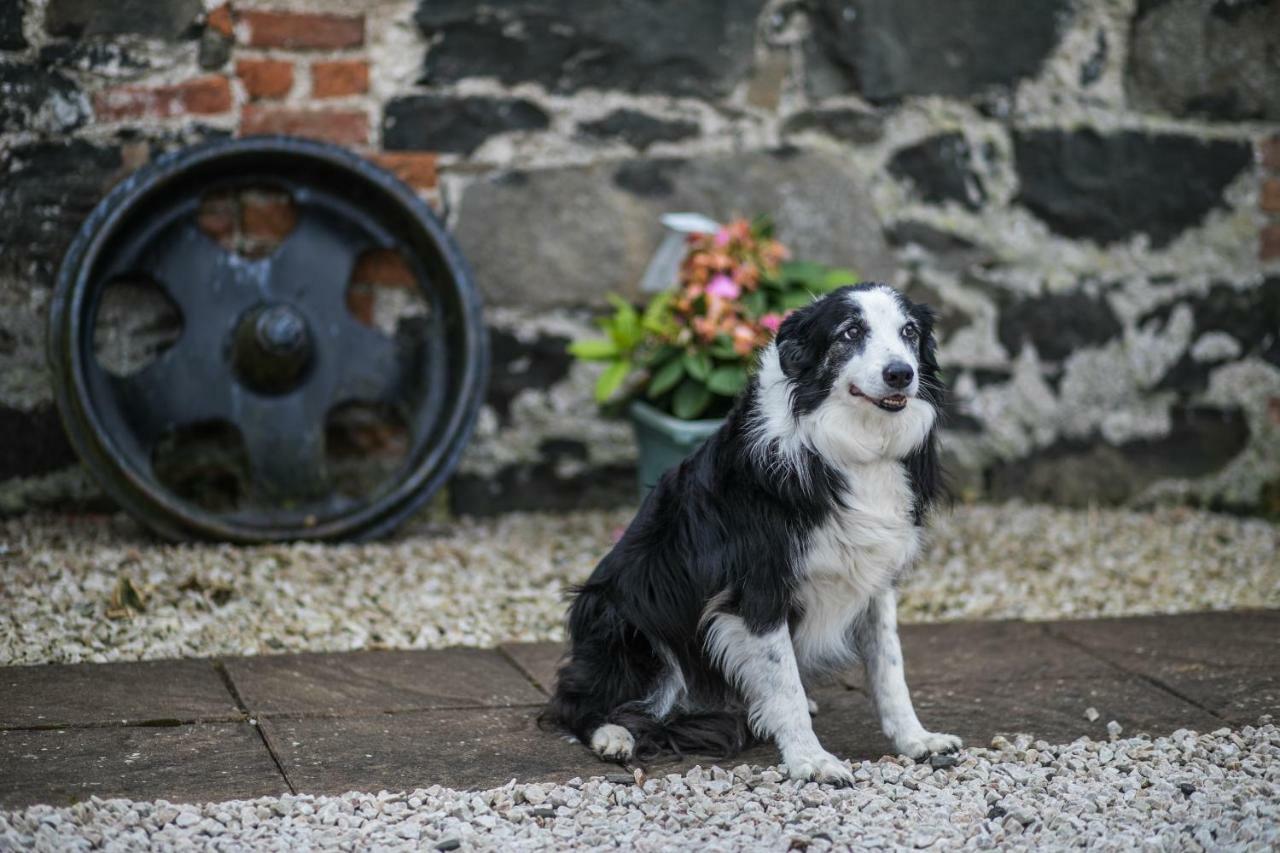 Bayview Farm Holiday Cottages Bushmills Exterior foto